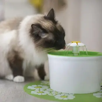 Mačka Vodnjak Filter Zamenjava Oglje, Filter Za Mačka Voda Pitna Vodnjak Zamenjati Filtre Cvet Za Mačke Psi